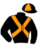 casaque portée par Royer V. jockey du cheval de course LIBERTY FRANCE, information pmu ZETURF