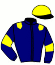 casaque portée par Mottier M. jockey du cheval de course JAGUAR DE DALINE, information pmu ZETURF