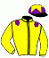 casaque portée par Foulon M. jockey du cheval de course BARBAGGIO, information pmu ZETURF