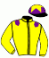 casaque portée par Foulon M. jockey du cheval de course BARBAGGIO, information pmu ZETURF casaque portée par Foulon M. jockey du cheval de course BARBAGGIO, information pmu ZETURF