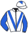 casaque portée par Gavilan Ale. jockey du cheval de course AKINATHOR GAME, information pmu ZETURF