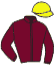 casaque portée par Blot P. jockey du cheval de course JOLIETTE COLLONGES, information pmu ZETURF casaque portée par Blot P. jockey du cheval de course JOLIETTE COLLONGES, information pmu ZETURF