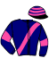 casaque portée par Le Creps R. jockey du cheval de course JERIC LE VIKING, information pmu ZETURF