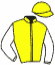 casaque portée par Seguy V. jockey du cheval de course MARKUS, information pmu ZETURF casaque portée par Seguy V. jockey du cheval de course MARKUS, information pmu ZETURF