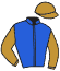 casaque portée par Seguy V. jockey du cheval de course NEMR, information pmu ZETURF casaque portée par Seguy V. jockey du cheval de course NEMR, information pmu ZETURF