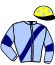casaque portée par Ruault M. J. jockey du cheval de course ICE DREAM KERUZOC, information pmu ZETURF casaque portée par Ruault M. J. jockey du cheval de course ICE DREAM KERUZOC, information pmu ZETURF