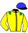 casaque portée par Duveau M. jockey du cheval de course HEVA MALEX, information pmu ZETURF casaque portée par Duveau M. jockey du cheval de course HEVA MALEX, information pmu ZETURF