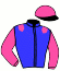casaque portée par Beaufils Ernault Mme D. jockey du cheval de course GO FOR BELLAY, information pmu ZETURF