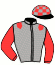 casaque portée par Gilard M. jockey du cheval de course GAMIN DU LERRE (FR), information pmu ZETURF