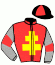 casaque portée par Baudouin L. jockey du cheval de course ECRIN TURGOT (FR), information pmu ZETURF
