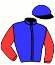 casaque portée par Daugeard Ph. jockey du cheval de course GUN DE CHANLECY (FR), information pmu ZETURF