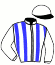 casaque portée par Levesque Th. jockey du cheval de course HASTORIA BLEUE (FR), information pmu ZETURF