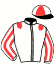 casaque portée par Noel J. F. jockey du cheval de course ENGALA DE LOU (FR), information pmu ZETURF