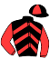 casaque portée par Le Brun F. jockey du cheval de course FREETOWN (FR), information pmu ZETURF