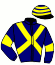 casaque portée par Cherbonnel D. jockey du cheval de course HIGHLANDER JAYF, information pmu ZETURF