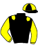 casaque portée par Lebourgeois Y. jockey du cheval de course HOVA DE BASSIERE (FR), information pmu ZETURF
