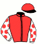 casaque portée par Desmigneux Mlle E. jockey du cheval de course HELICE DE POULINE (FR), information pmu ZETURF