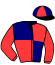 casaque portée par Desmigneux F. jockey du cheval de course HOLKA DU LYS (FR), information pmu ZETURF