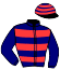 casaque portée par Rosenblum J. jockey du cheval de course DOUDOU MAGIC (FR), information pmu ZETURF