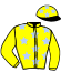 casaque portée par Lebourgeois Y. jockey du cheval de course HELIOS DU JAL (FR), information pmu ZETURF