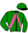 casaque portée par Rochard B. jockey du cheval de course JOKER DE FAEL, information pmu ZETURF