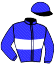 casaque portée par Rochard B. jockey du cheval de course GALWAY DE CORBIE, information pmu ZETURF