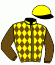 casaque portée par Fauchon Mlle L. jockey du cheval de course HARRY PETTEVINIERE, information pmu ZETURF