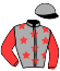 casaque portée par Mary Ch. A. jockey du cheval de course JUGOR, information pmu ZETURF