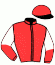 casaque portée par Gelormini G. jockey du cheval de course JOURNEY OF DREAM, information pmu ZETURF