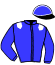 casaque portée par Mottier M. jockey du cheval de course JOYCE DES GRANGES, information pmu ZETURF