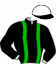 casaque portée par Raffestin J. jockey du cheval de course HAVANE DE COUDDE, information pmu ZETURF