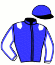 casaque portée par Dersoir J. L. Cl. jockey du cheval de course HANNIBAL DE NUIT, information pmu ZETURF