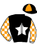 casaque portée par Nicole Ch. jockey du cheval de course KIT ANGOT, information pmu ZETURF