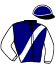 casaque portée par Saussaye V. jockey du cheval de course JUPITER DE NILREM, information pmu ZETURF