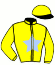casaque portée par Lecoq Mme Lou A. jockey du cheval de course FLOPY RUSH, information pmu ZETURF casaque portée par Lecoq Mme Lou A. jockey du cheval de course FLOPY RUSH, information pmu ZETURF