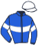casaque portée par Parys C. jockey du cheval de course LOAD MASTER, information pmu ZETURF casaque portée par Parys C. jockey du cheval de course LOAD MASTER, information pmu ZETURF