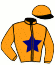 casaque portée par Gelormini G. jockey du cheval de course KLASSIC MUSIC, information pmu ZETURF