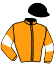 casaque portée par Barassin Thi. jockey du cheval de course JOVILLAISE, information pmu ZETURF