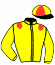 casaque portée par Collette A. jockey du cheval de course KEILA DU PERCHE, information pmu ZETURF