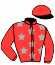 casaque portée par Rochard B. jockey du cheval de course KSARYA DE CHENU, information pmu ZETURF