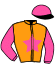 casaque portée par Lebourgeois Y. jockey du cheval de course KINA DU GOUTIER, information pmu ZETURF