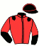 casaque portée par Bertin Lil. jockey du cheval de course JABIOLE BELLEMARE, information pmu ZETURF