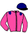 casaque portée par Lecoq M. jockey du cheval de course JADE FOR EVER, information pmu ZETURF