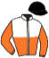 casaque portée par Lecanu F. jockey du cheval de course KRYSTAL DES FANES, information pmu ZETURF