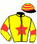 casaque portée par Raffestin J. jockey du cheval de course LA PERLA DE LOU, information pmu ZETURF