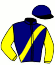 casaque portée par Groult B. jockey du cheval de course LADY DU JOUR, information pmu ZETURF