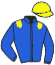 casaque portée par Lagadeuc F. jockey du cheval de course MIKTYSON DE VIETTE, information pmu ZETURF