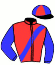 casaque portée par Collet Mlle M. jockey du cheval de course INDICE DU CAIEU (FR), information pmu ZETURF