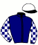 casaque portée par Gelormini L. jockey du cheval de course INES DU BERYL (FR), information pmu ZETURF