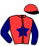casaque portée par Ploquin P. Ph. jockey du cheval de course HIMALAYA BLEU (FR), information pmu ZETURF